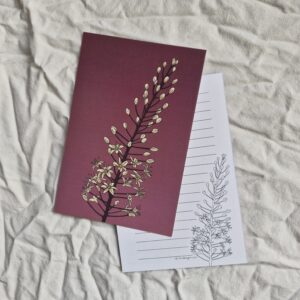 עשיריית גלויות חצב